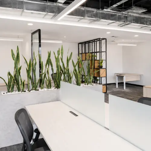 Dupont Proyecto