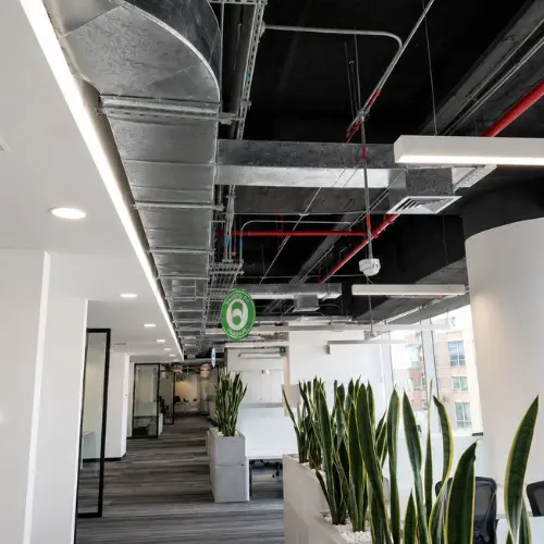 Dupont Proyectos
